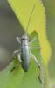 305480 – Photo : Liliane Delattre – France (30)
